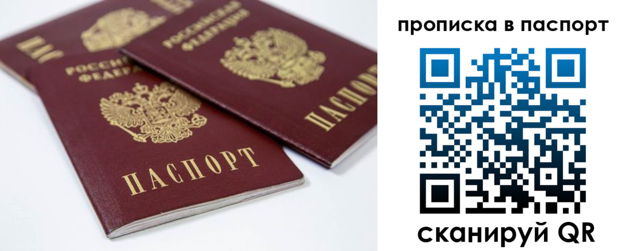 временная регистрация надежно в Ельне